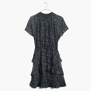 Madewell Radiant Dress 2